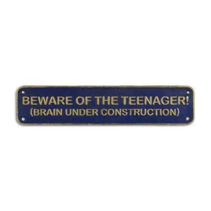 Gusseisen-Schild, A CAST IRON "BEWARE OF THE TEENAGER..." PLAQUE