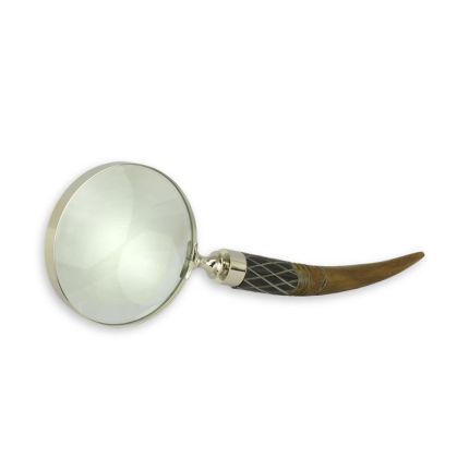 Lupe, A MAGNIFYING-GLASS