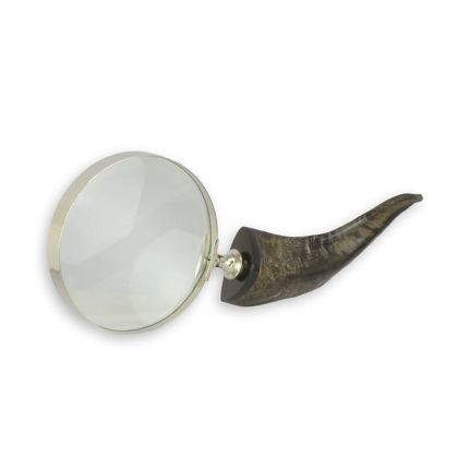 Lupe, A MAGNIFYING-GLASS