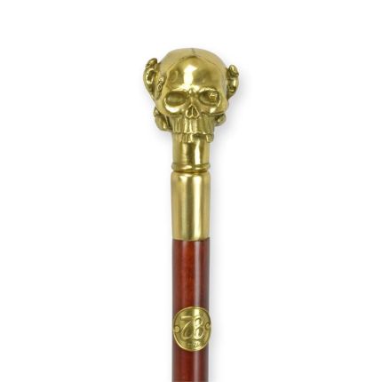 Gehstock mit Bronze-Totenkopfgriff, A BRONZE-HANDLED WALKING STICK