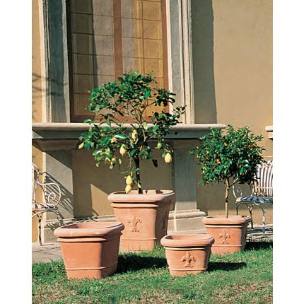 Impruneta Terracotta, Vaso Quadro con Giglio, eckiger Pflanztopf