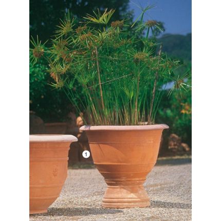 Impruneta Terracotta, Conca romana, Pflanztopf, Blumentopf, schlichtes Gefäß, Becken