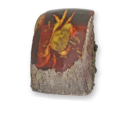 Künstliches Bernsteinfossil mit Krabbe, A CRAB ARTIFICIAL AMBER FOSSIL