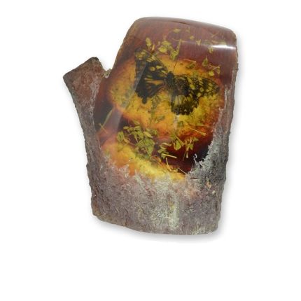 Künstliches Bernsteinfossil mit Schmetterling, A BUTTERFLY ARTIFICIAL AMBER FOSSIL