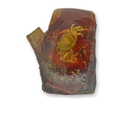 Künstliches Bernsteinfossil mit Krabbe, A CRAB ARTIFICIAL AMBER FOSSIL