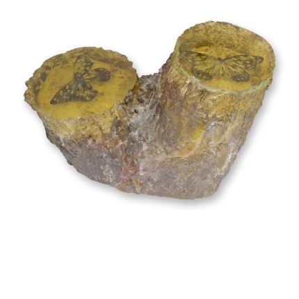 Künstliches Bernsteinfossil mit Schmetterlingen, A BUTTERFLY ARTIFICIAL AMBER FOSSIL