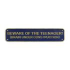 Gusseisen-Schild, A CAST IRON "BEWARE OF THE TEENAGER..." PLAQUE