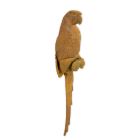 Wanddekoration Gusseisentierfigur Papagei, A CAST IRON WALL MOUNT MACAW- RUSTY