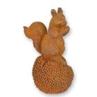 Gusseisentierfigur Eichhörnchen, rostfarben, A RUSTY CAST IRON FIGURINE OF A SQUIRREL ON A CHESTNUT