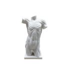 Marmortorso Mann, A MARBLE TORSO OF A MAN