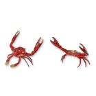 Bronzefigur Krabbe, B. 18 cm, rot, Tierfigur, 1 Stück, A BRONZE SCULPTURE OF A BLUE SWIMMER CRAB